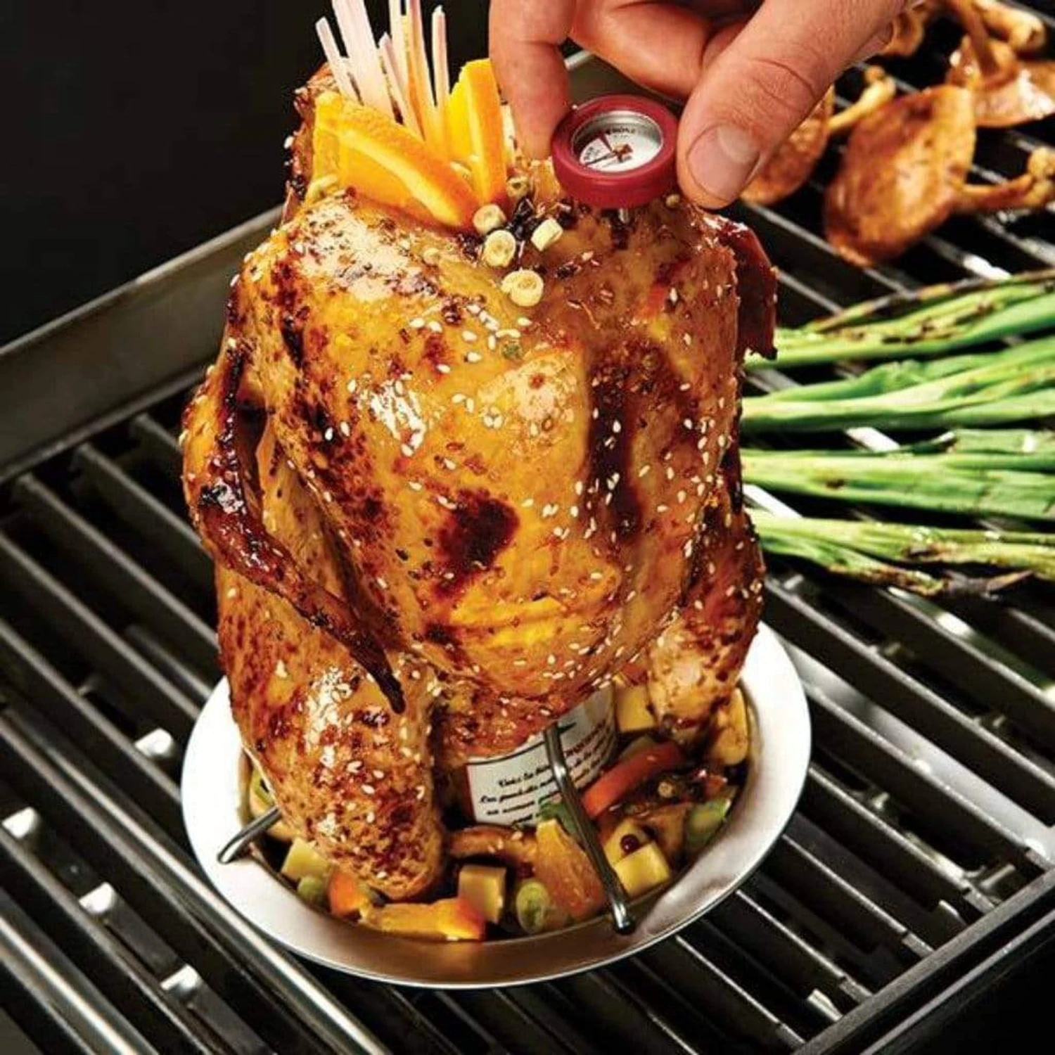 Broil King 8" Stainless Steel Chicken Roaster W/ Thermometer - Image 3